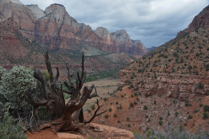 The Watchman Trail 